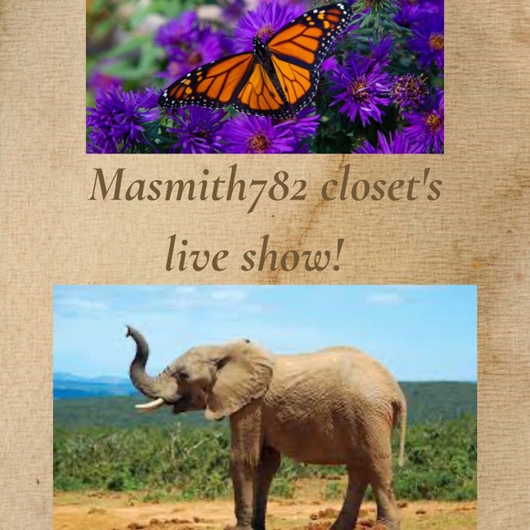 Masmith782's Clear Out Closet Show - Picture 2 of 5